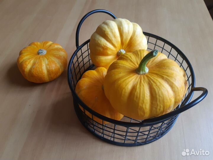 Семена тыквы декоративной Джек Би Литл