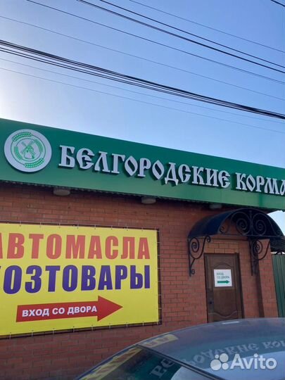 Рапс
