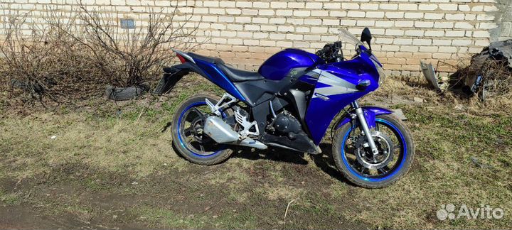 Honda cbr 300