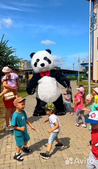 Аниматор.Большая Панда