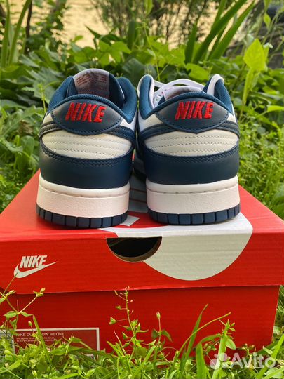 Nike Dunk Low Retro valerian blue