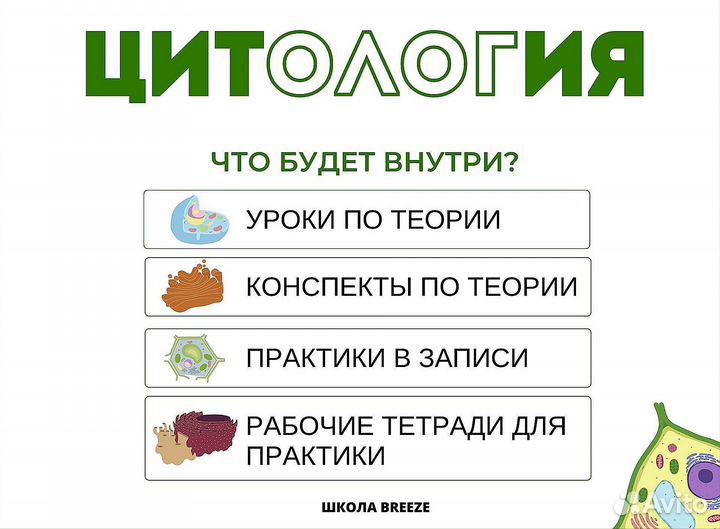 Учебник Алёны Бриз по биологии