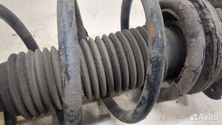 Амортизатор подвески Nissan Qashqai, 2008