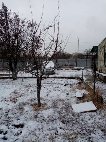 Дом 60 м² на участке 6 сот.