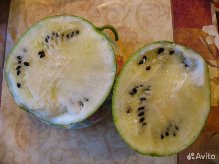 Семена Арбузов +(Подвои для арбузов)