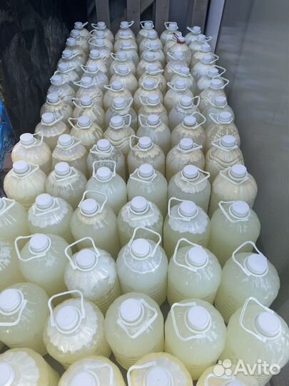 Сыворотка для животных