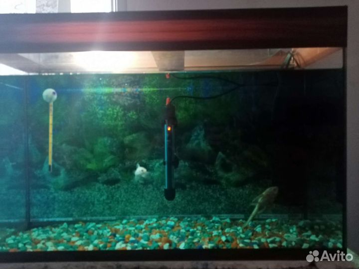 Аквариум