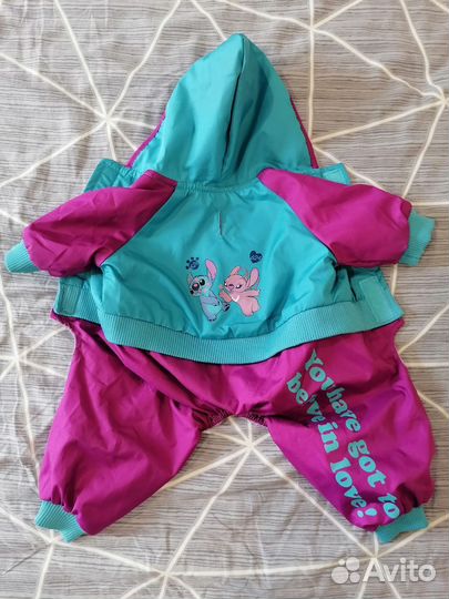 Костюм для собак мелких пород