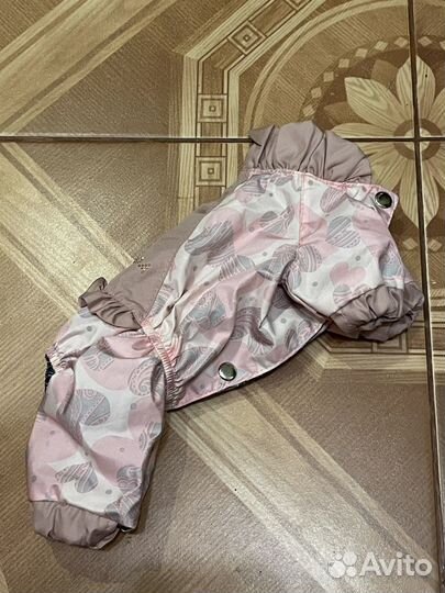 Дождевик для маленькой собаки