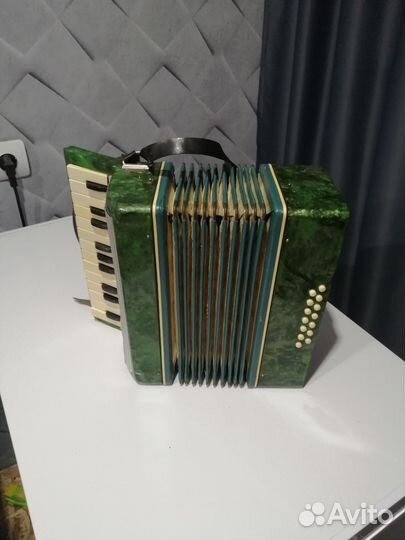 Аккордеон детский