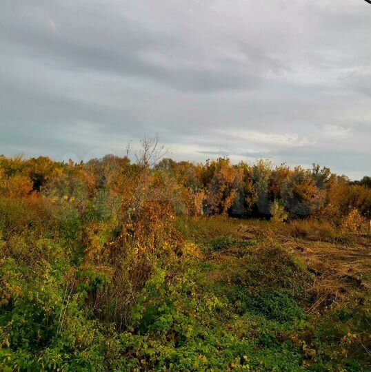 Участок 12 сот. (ИЖС)