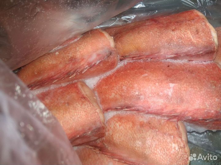 Свежая рыба