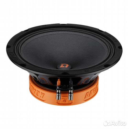 Акустическая система DL Audio Raven 200