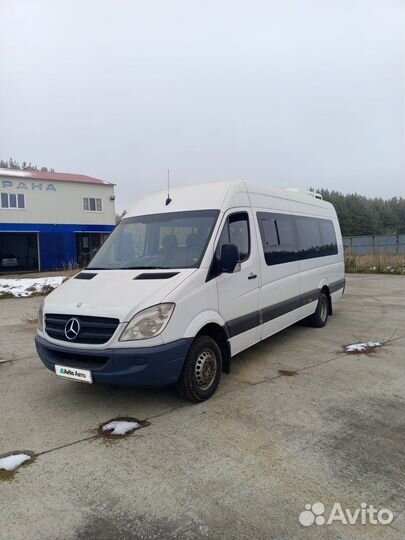 Туристический автобус Mercedes-Benz Sprinter, 2012