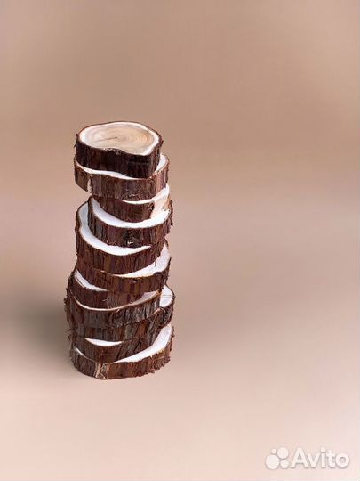 Спилы можжевельника