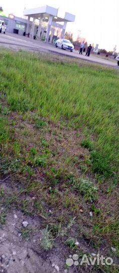 Продам килограмм нестироных носков