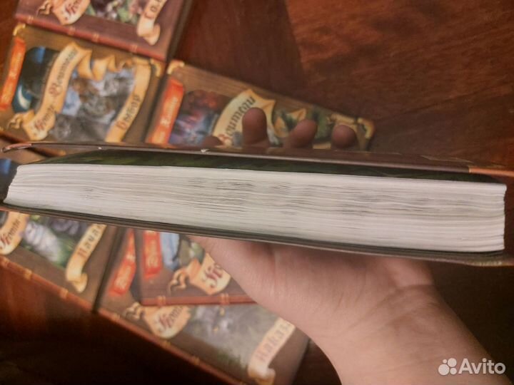 Коты воители специздание