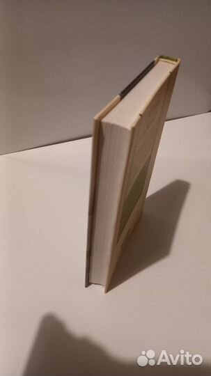 Жоржи Амаду. Тибета из Агресте, или Возвращение бл