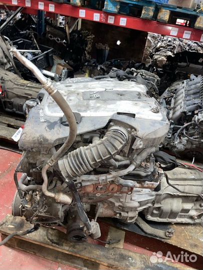 Двигатель Infiniti VQ35HR 589196C