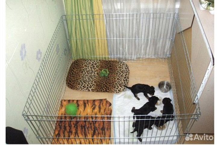 Вольер для собак новый