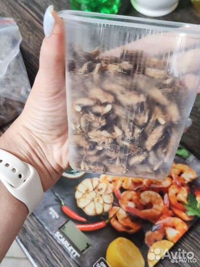 Сверчок замороженный