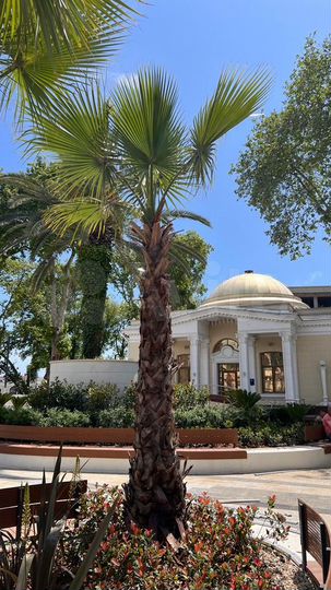 Помещение под ресторан, кафе, бар, 292 м²