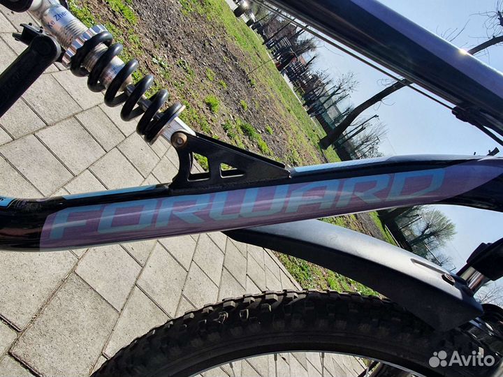 Forward raptor 2.0 disc