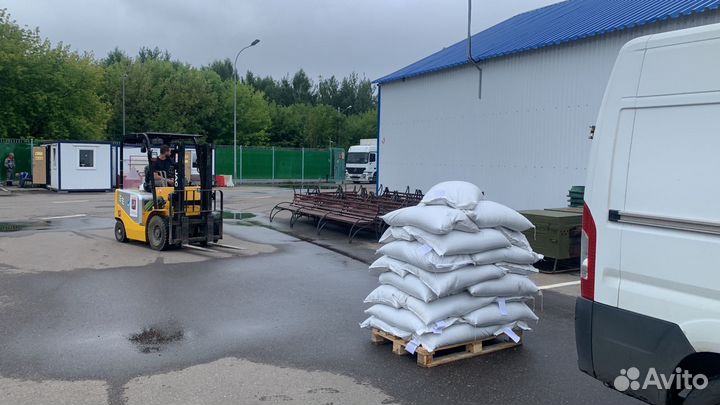 Семена газонной травы