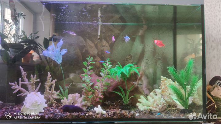 Полностью оборудованный аквариум на 100 литров