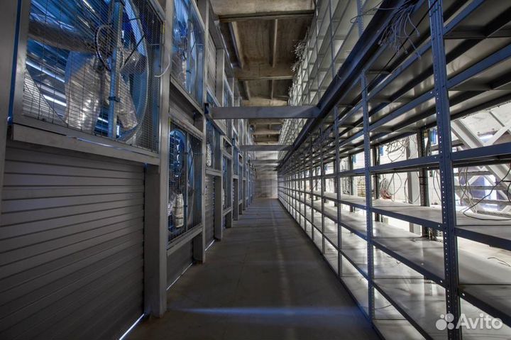 Отель для асиков, хостинг, размещение