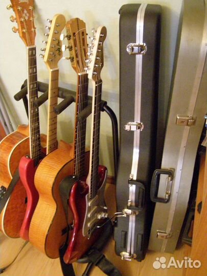 Гитара и электрогитара. Интенсивный курс обучения