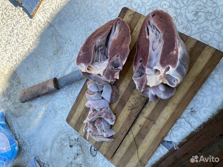 Прогулка на квадроцикле