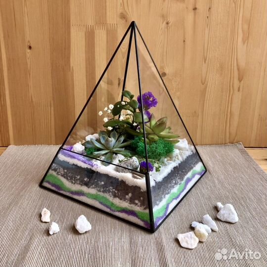 Флорариум Финансовая Пирамида с суккулентами