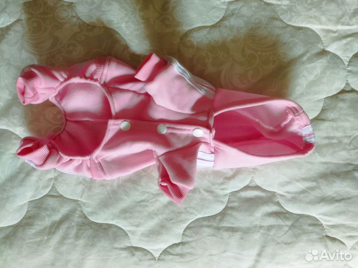 Костюм и шлейка для маленькой собаки