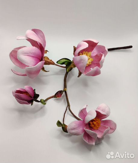 Магнолии интерьерные