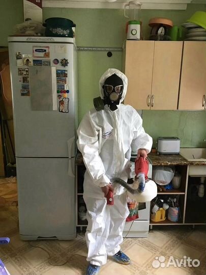 Уничтожения насекомых в квартире