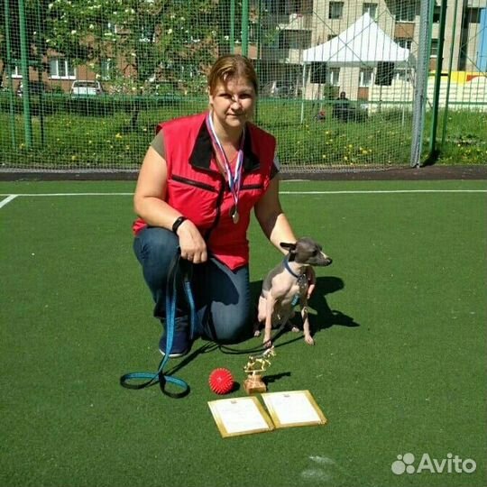 Воспитание, дрессировка собак, обучение хозяев