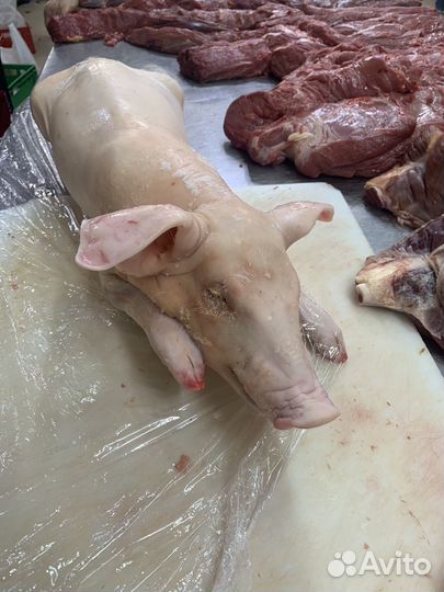 Молочные поросята