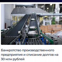 Банкротство юридических лиц. Юрист, Софрино