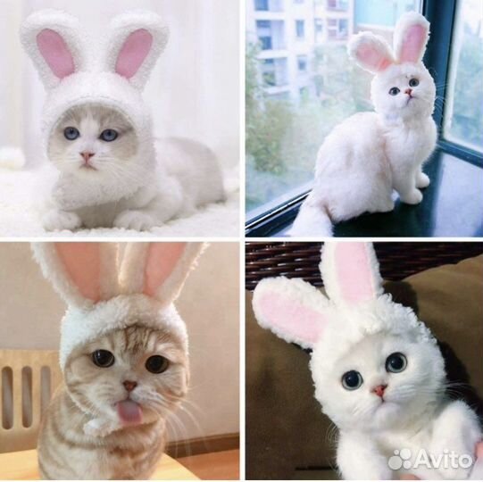 Шапочка для кота