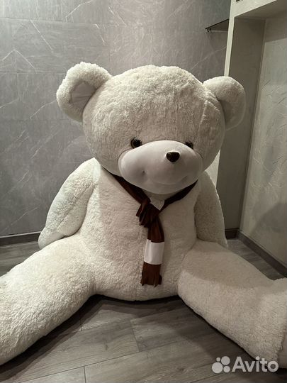 Большие плюшевые медведи