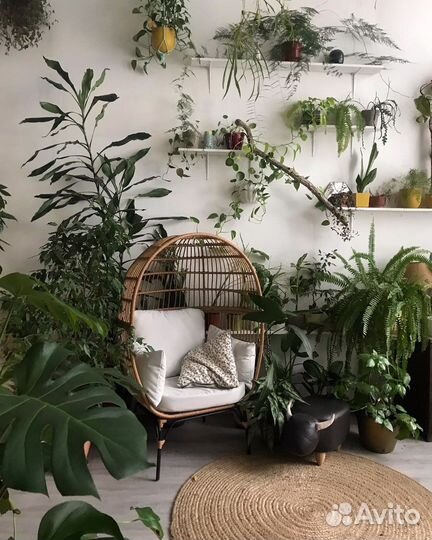 Фотостудия в аренду