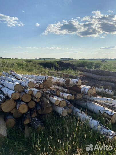 Сруб бревна сосна