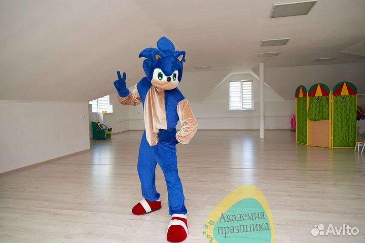 Аниматор Соник