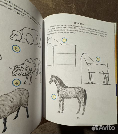 Книга Учимся рисовать Г.П. Шалаева