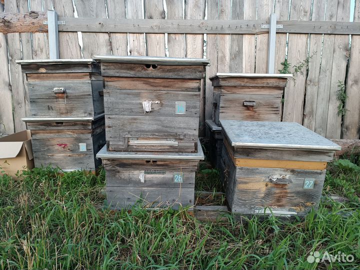 Улей Дадан 12 рамок