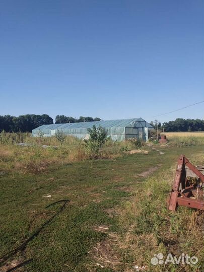 Теплица металлическая