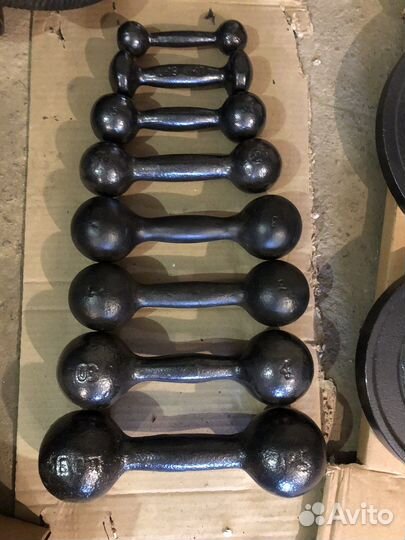Гантели по 1 шт от 1 до 16 кг