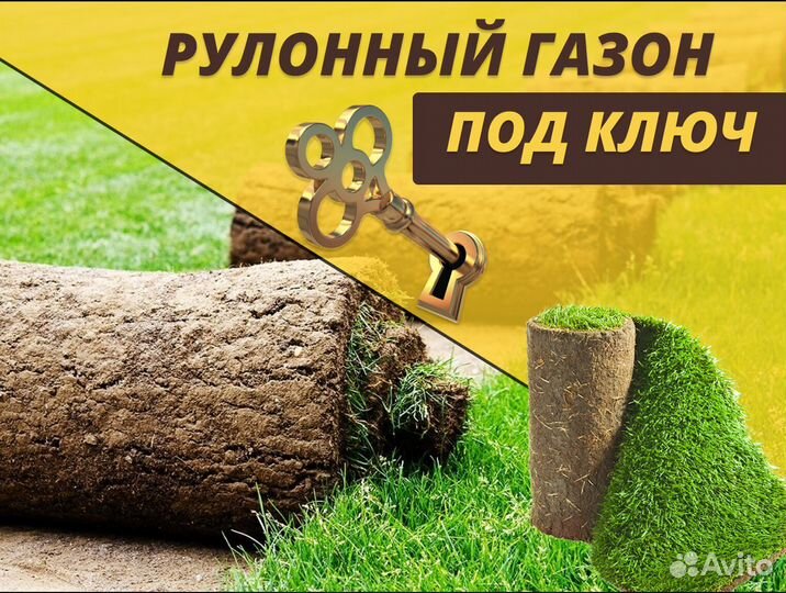 Рулонный газон Стандартный