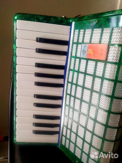 Аккордеон Юность 1/2 половинка